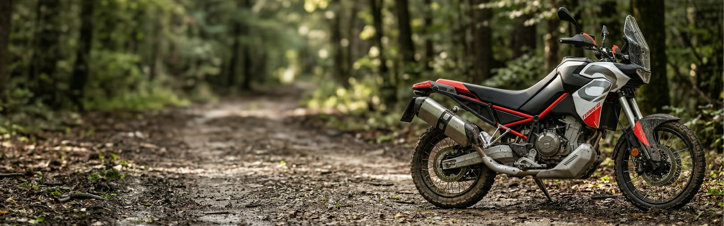 Tuareg 660
