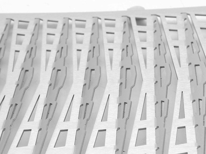 AltRider Radiator Guard for the BMW F 800 GS (2008-2012) - Silver